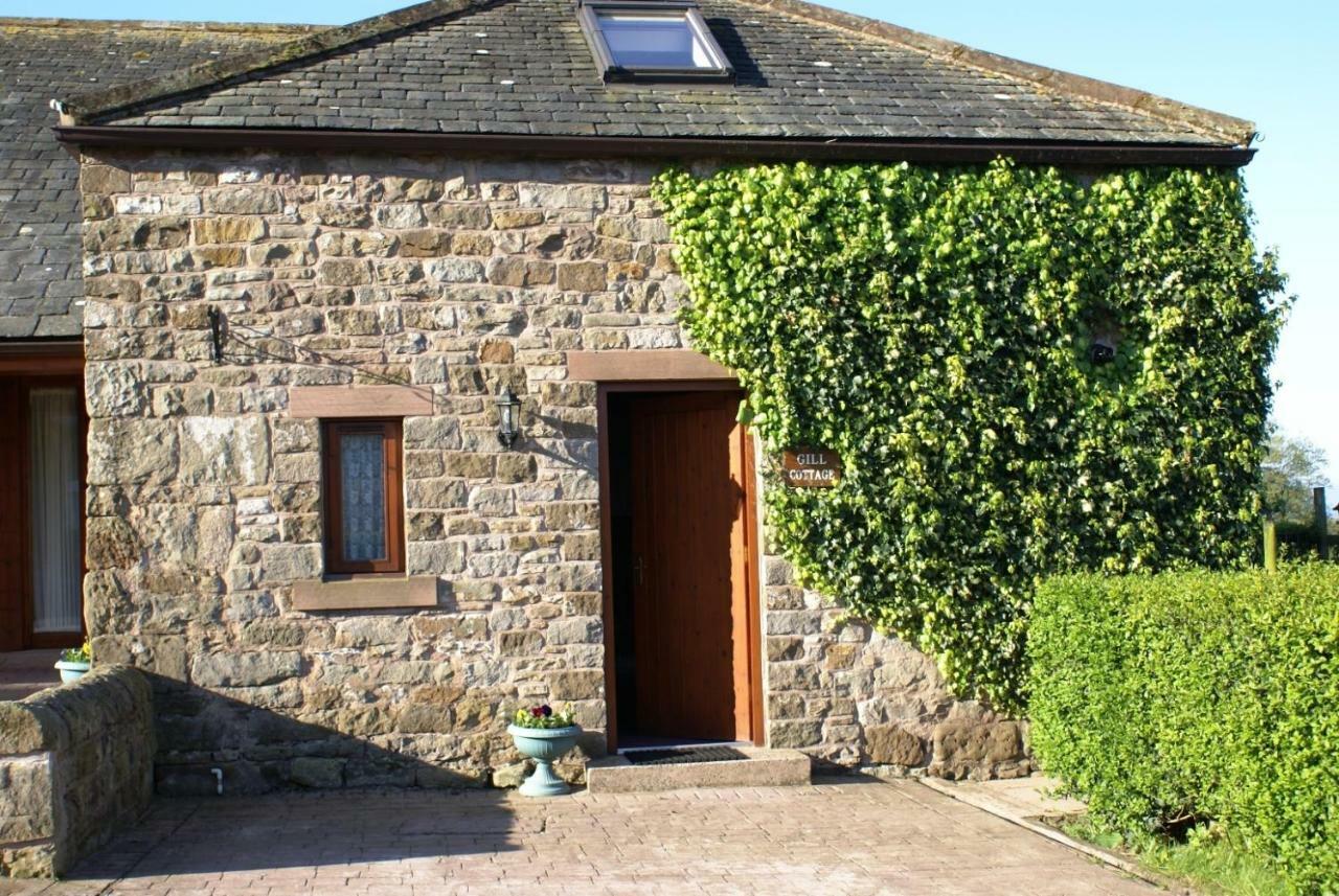 Gill Cottage Castle Carrock Kültér fotó